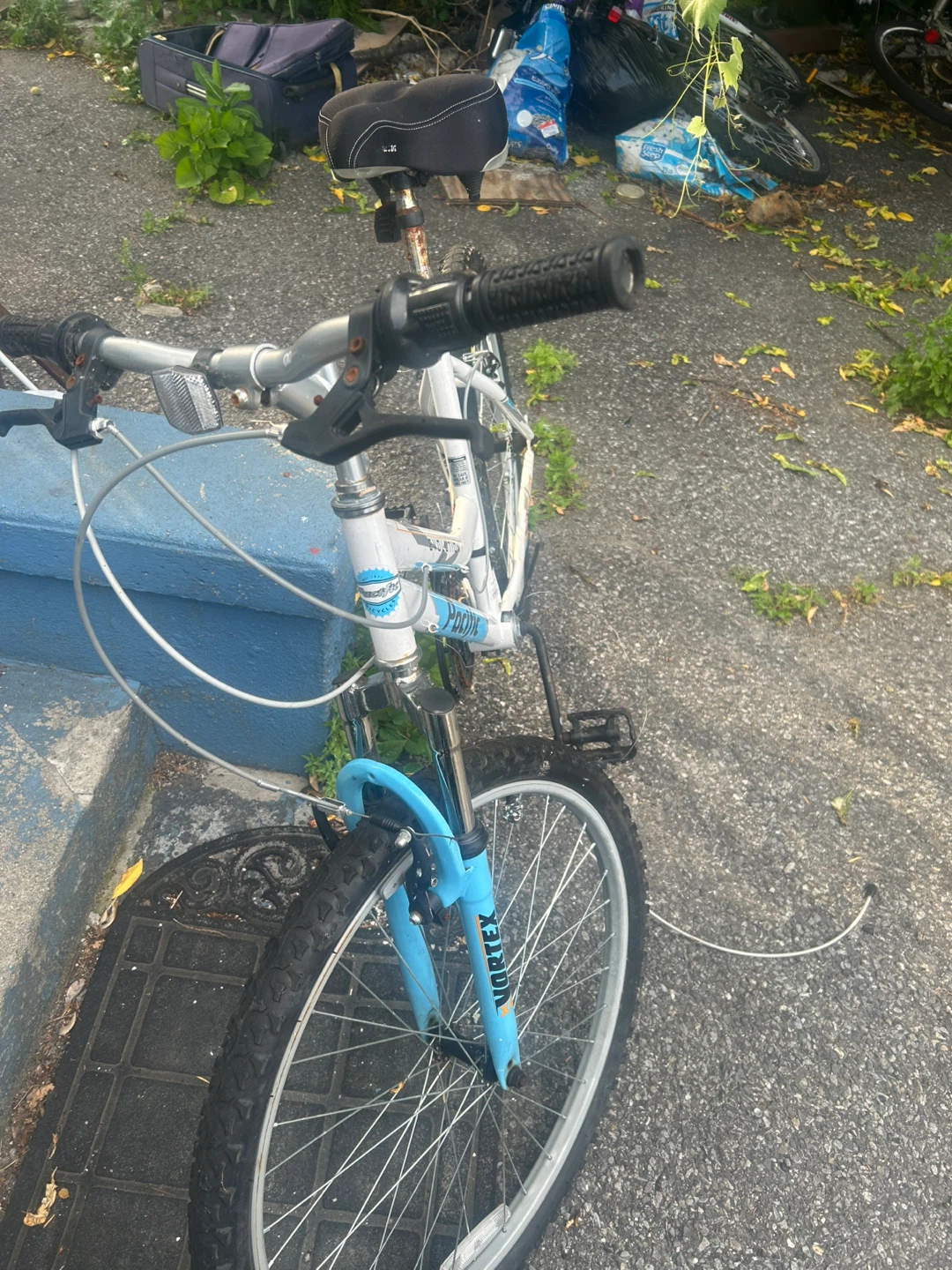 Pacific Evolution Mountain Bike - photo 2