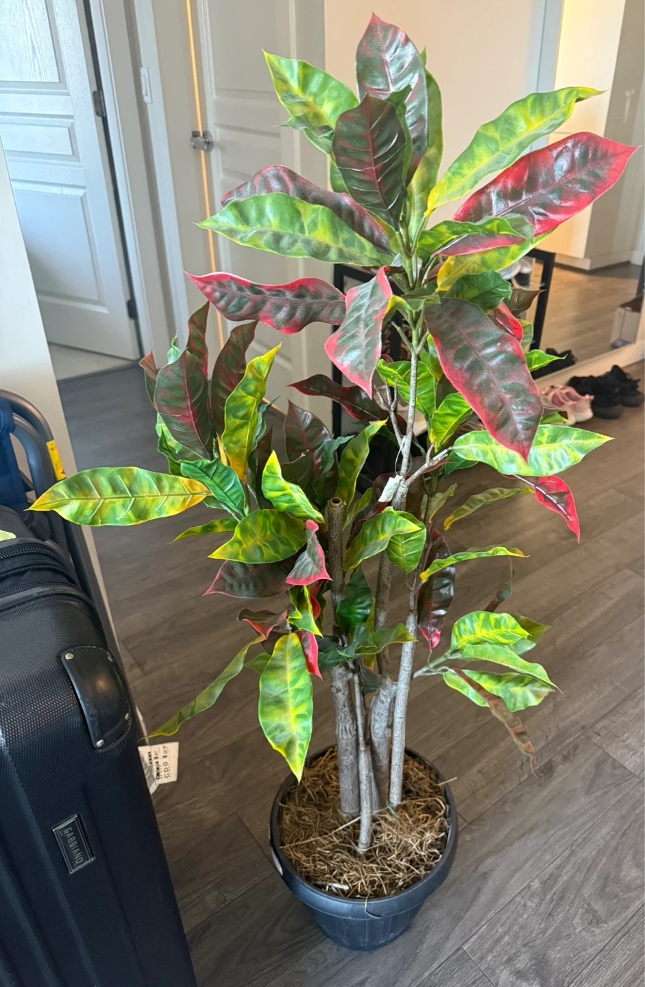 Artificial Croton Plant Home Decor