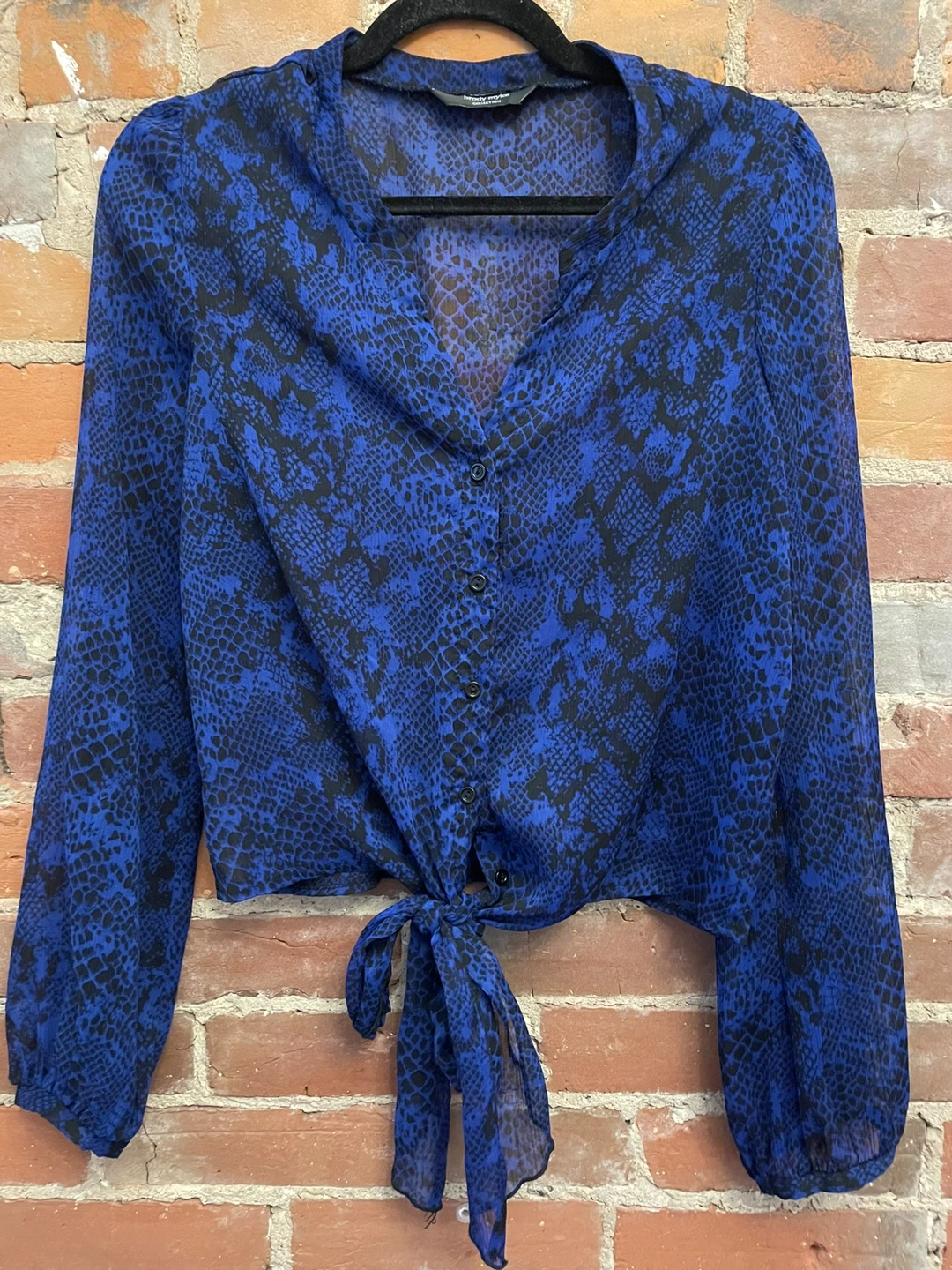 Brody Myles Blue Snake Print Button-Up Tie Front Blouse