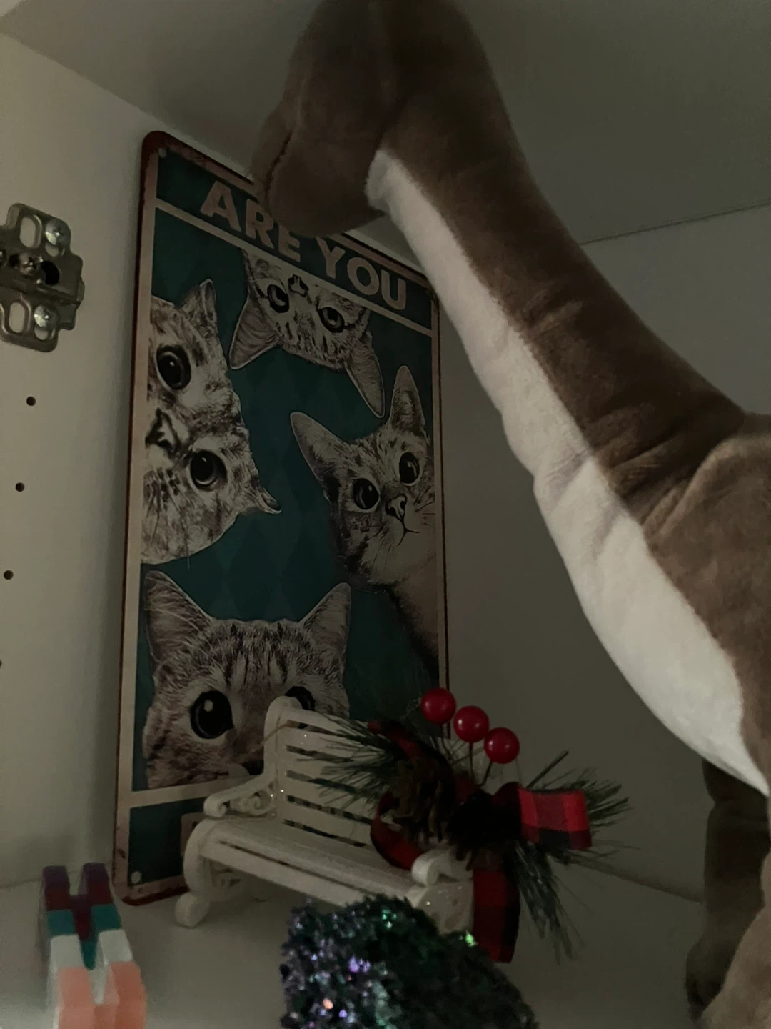Random decor - photo 5