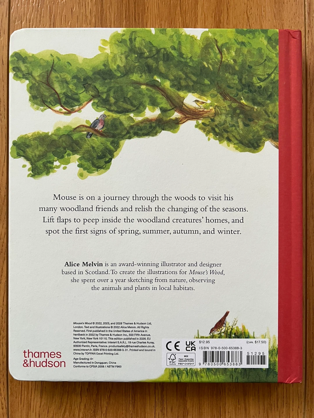 Mouse's Wood Children's Book by Alice Melvin - photo 2