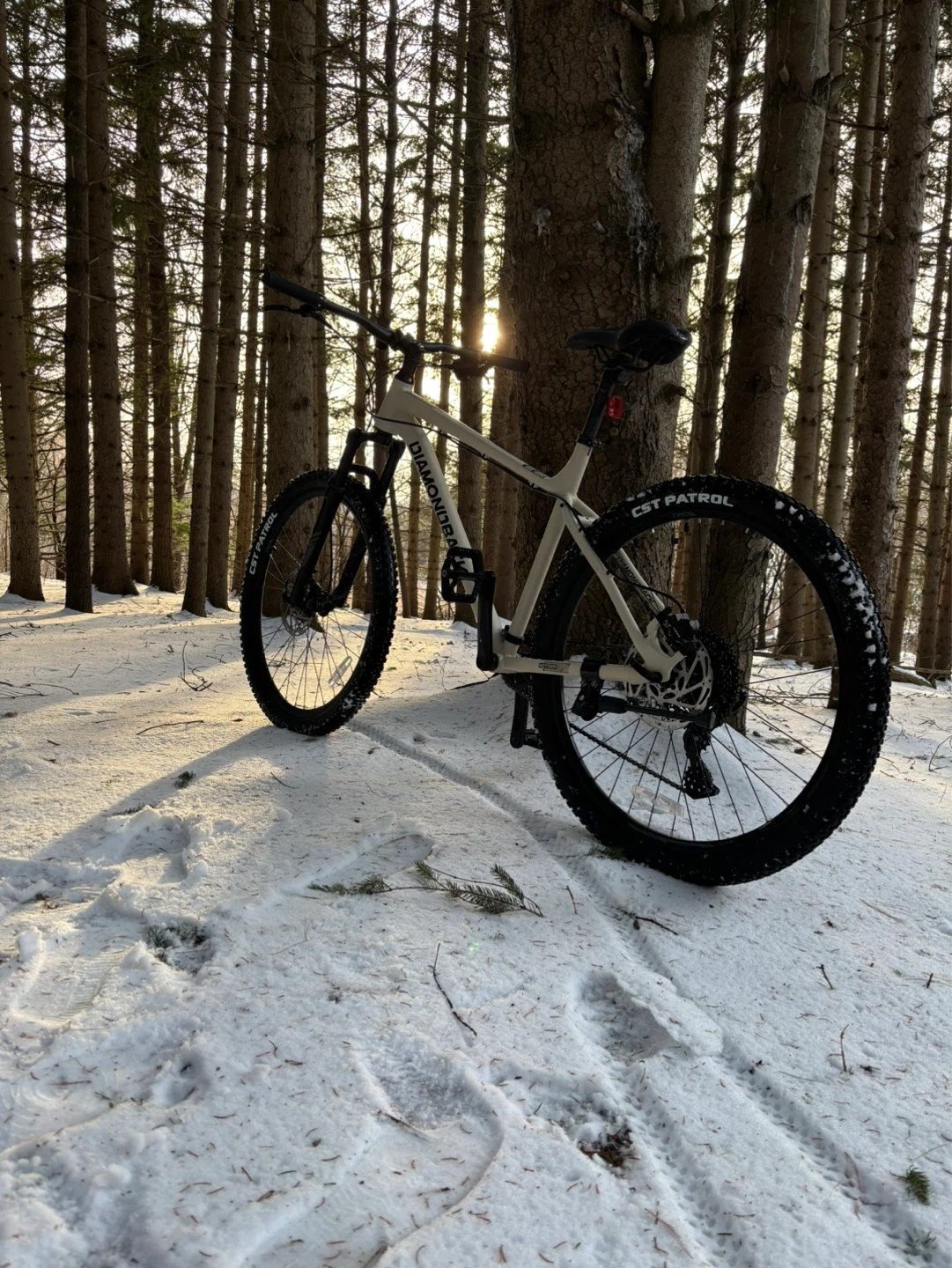 Diamondback Mountain Bike - photo 2