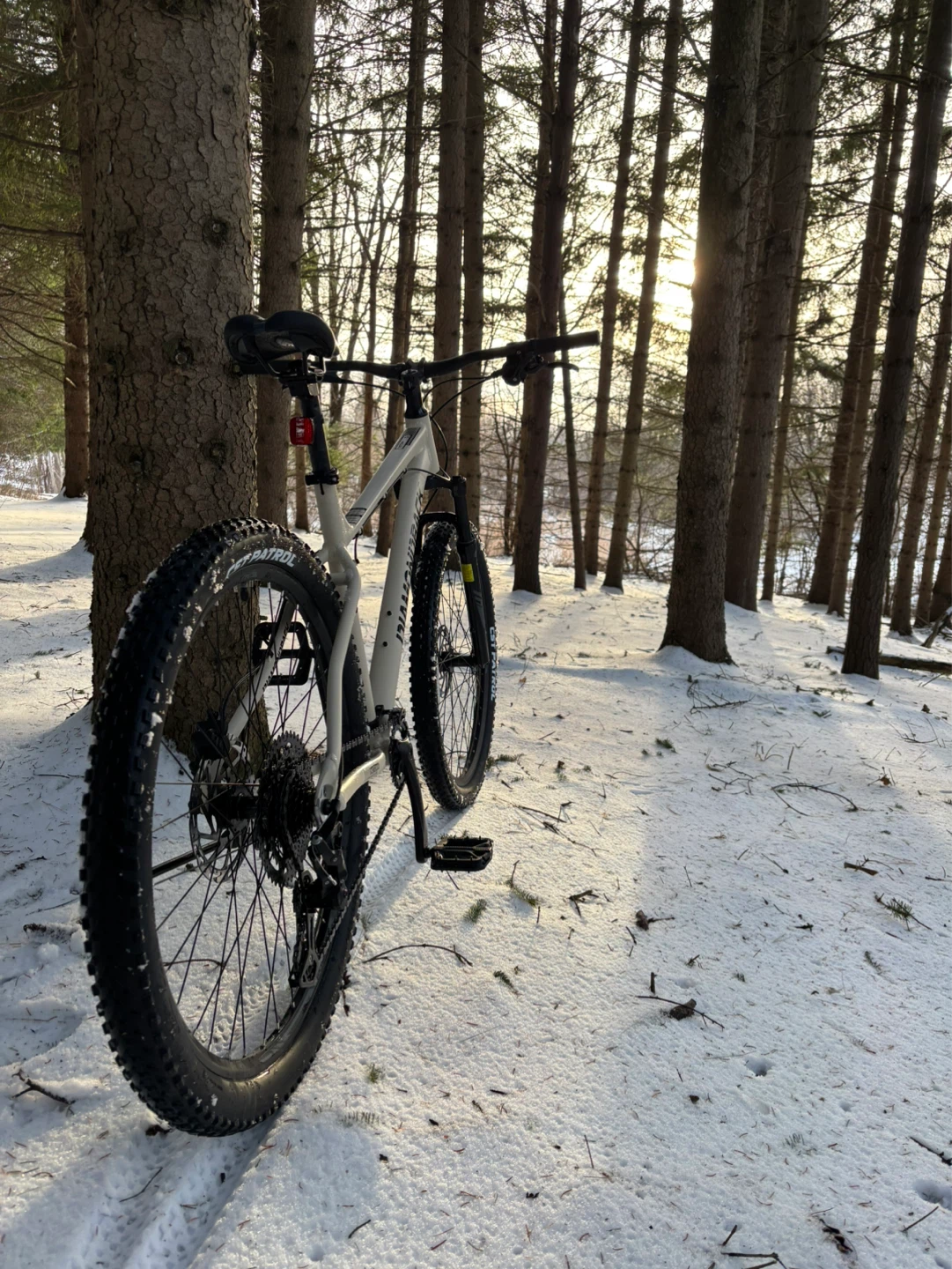 Diamondback Mountain Bike
