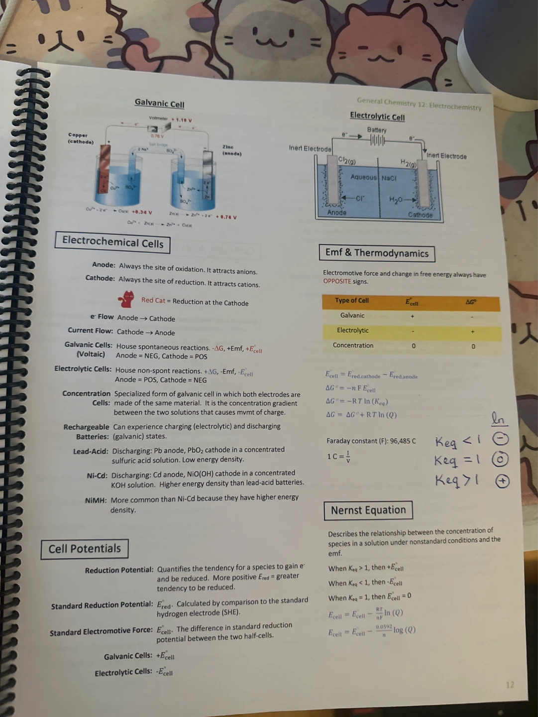 MCAT Quick-sheets (MileDown Updated Version) - photo 2