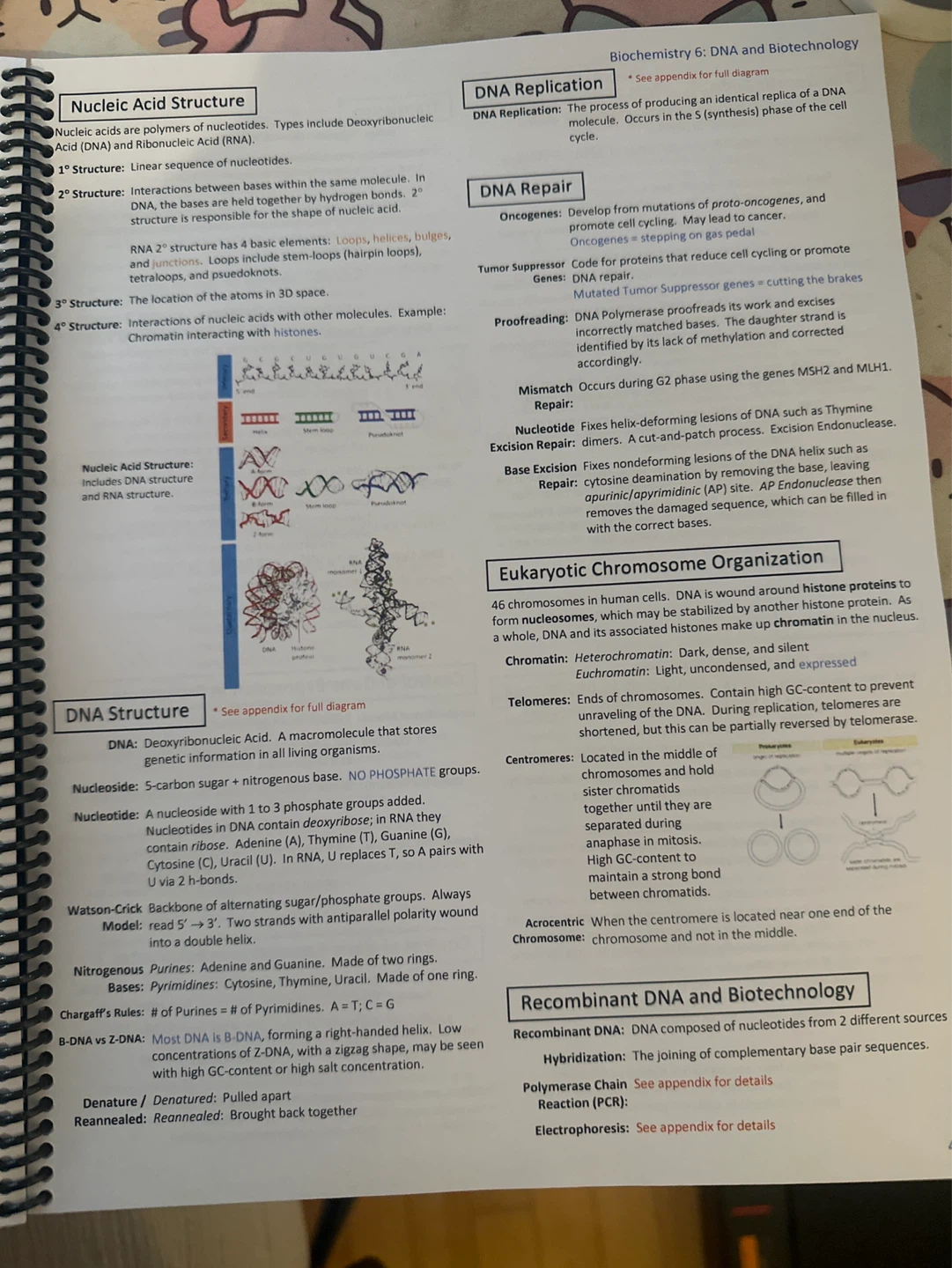 MCAT Quick-sheets (MileDown Updated Version) - photo 3
