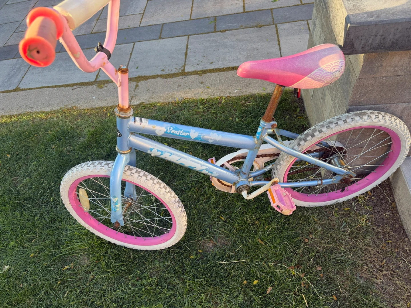 Seastar Kids' Bike