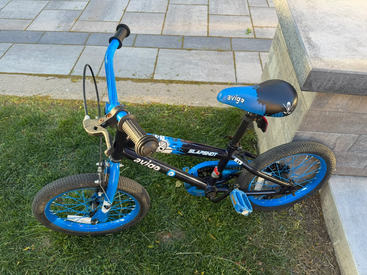 Avigo Slapshot Kids Bike