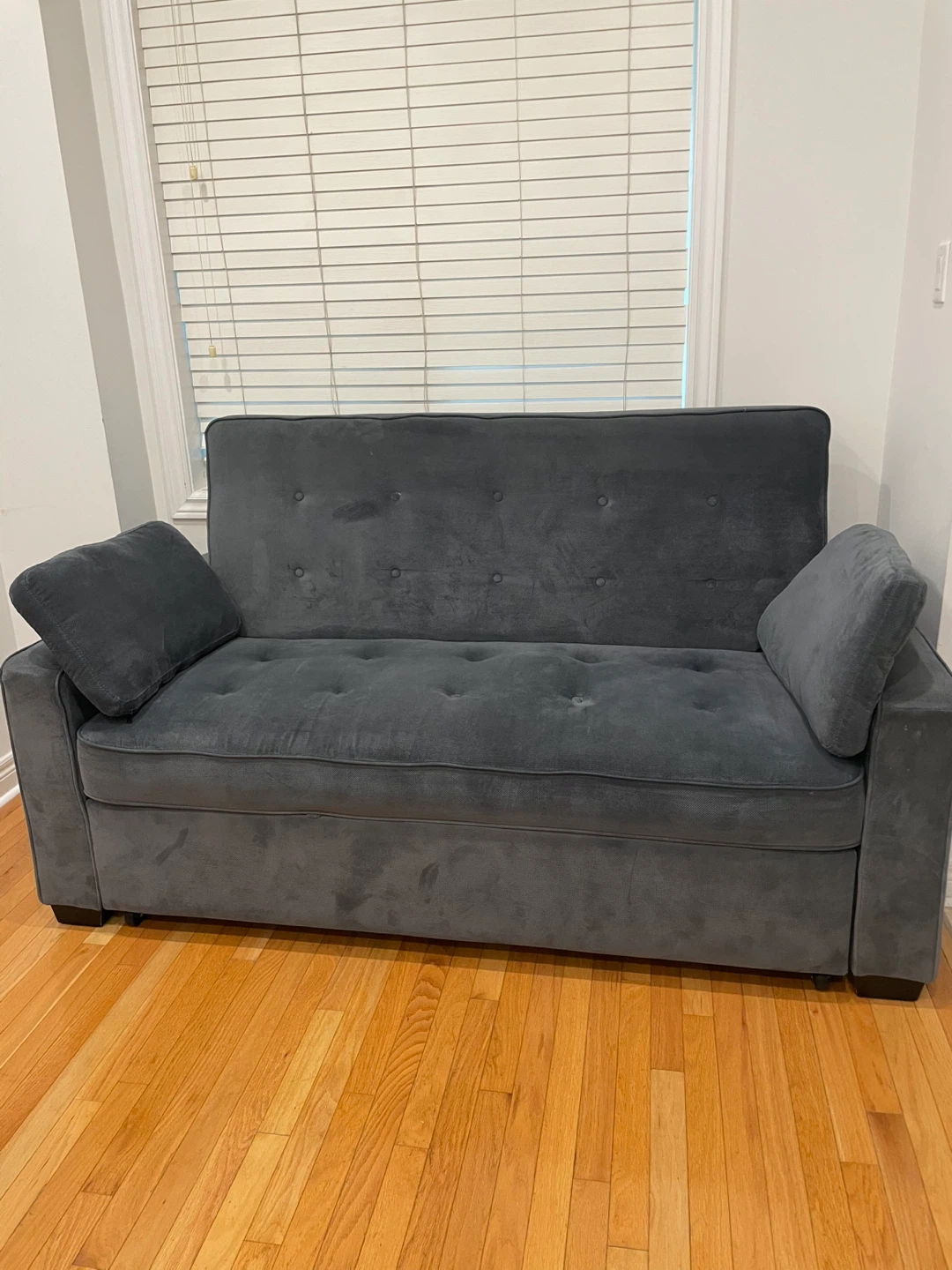 Serta Sofa Bed