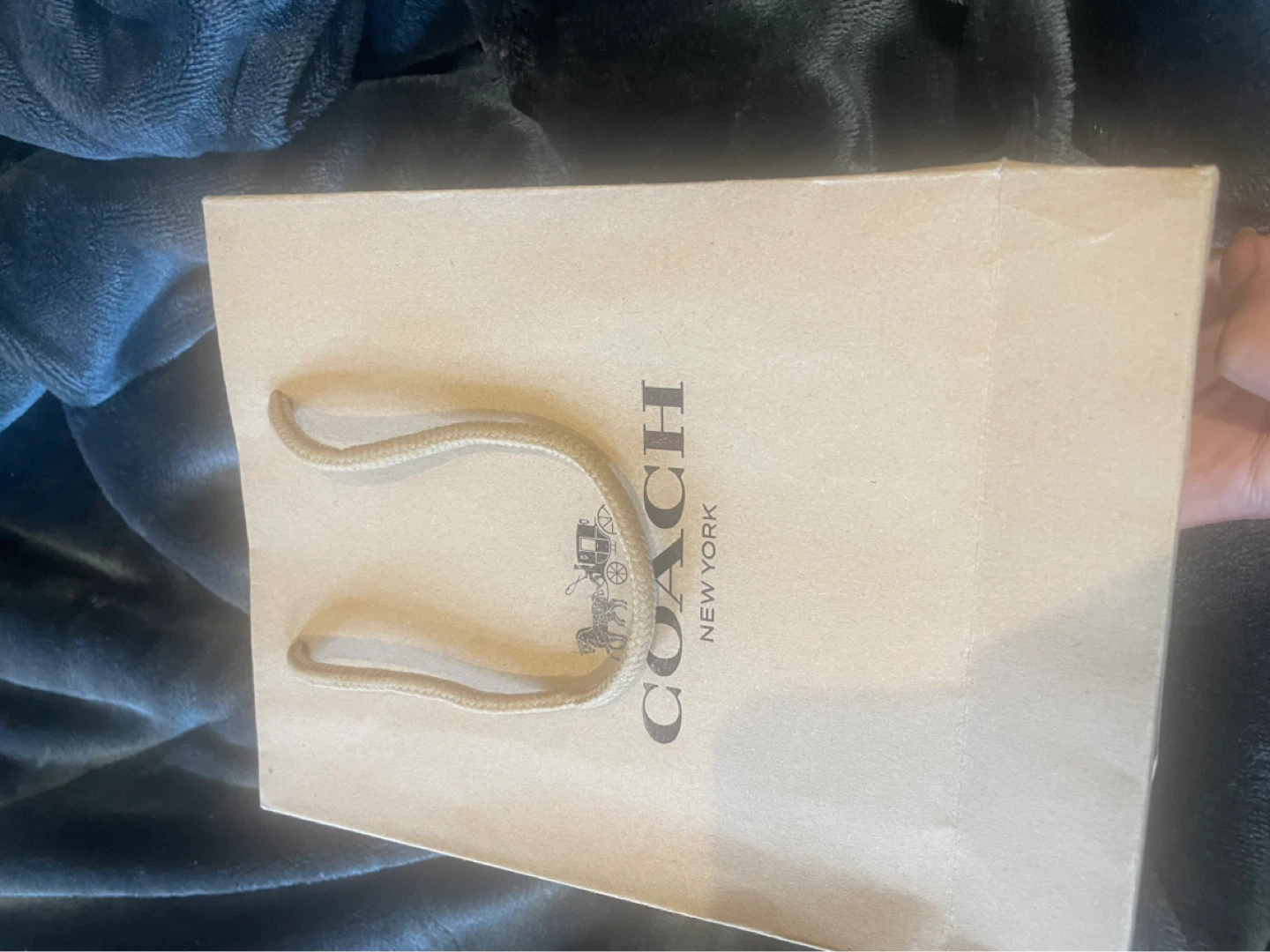 Coach Belt with Box - photo 3