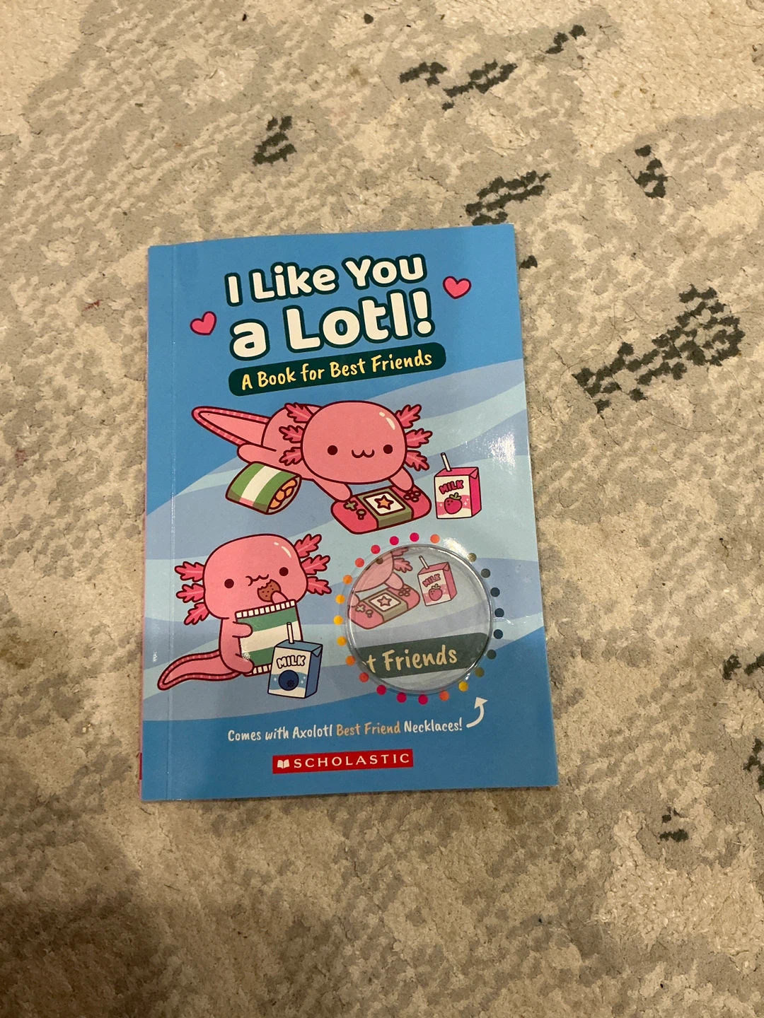 I Like You a Lot! A Book for Best Friends