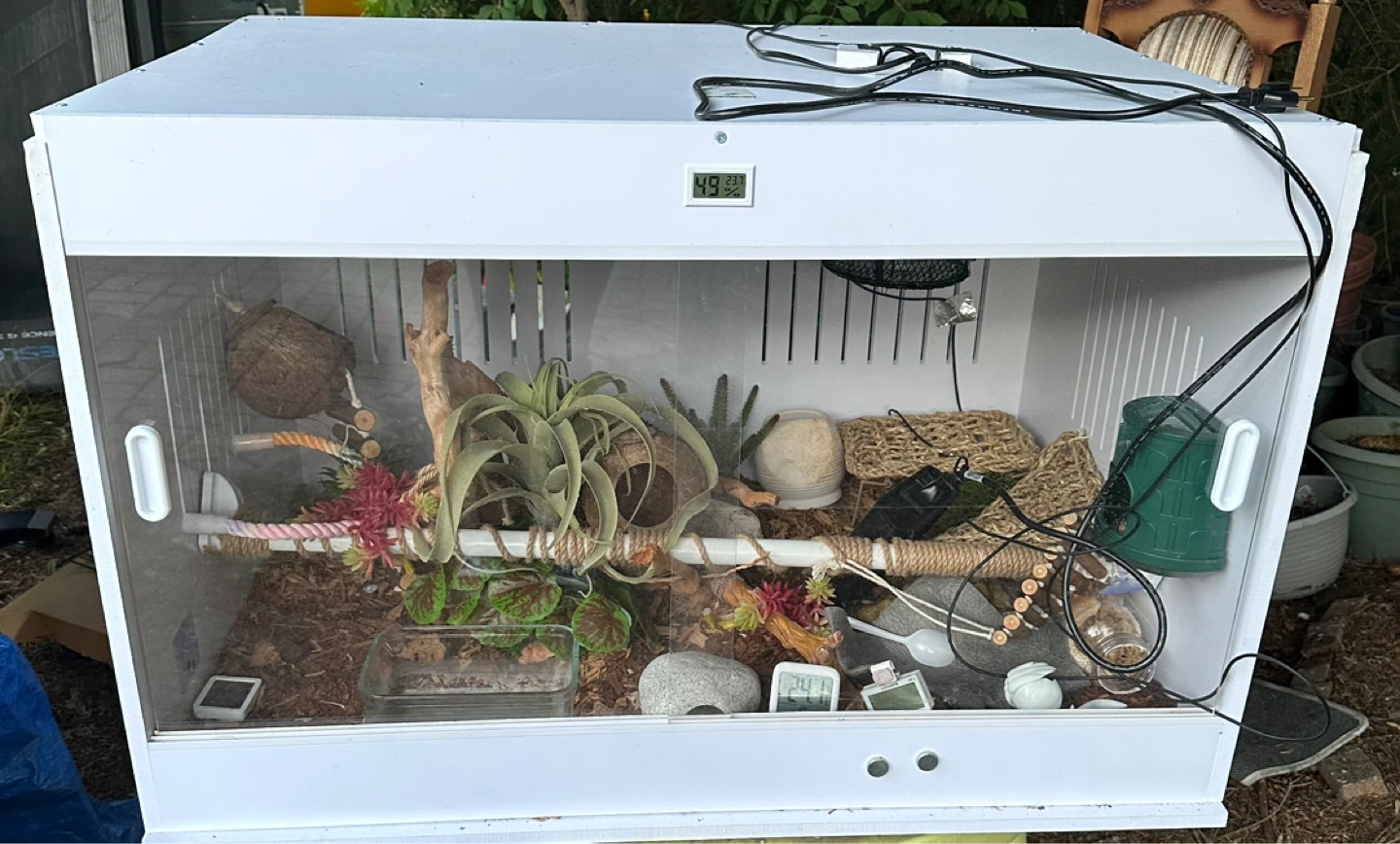 Reptile Terrarium Enclosure with Accessories
