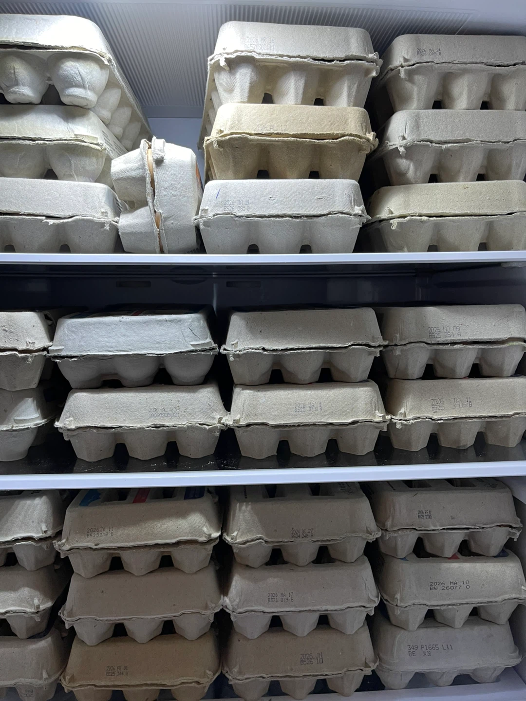 Eggs for sale - photo 4