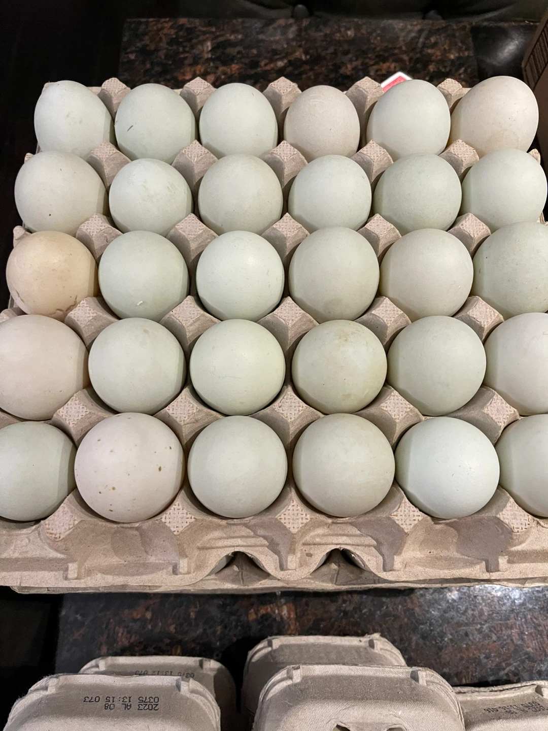 Eggs for sale - photo 2