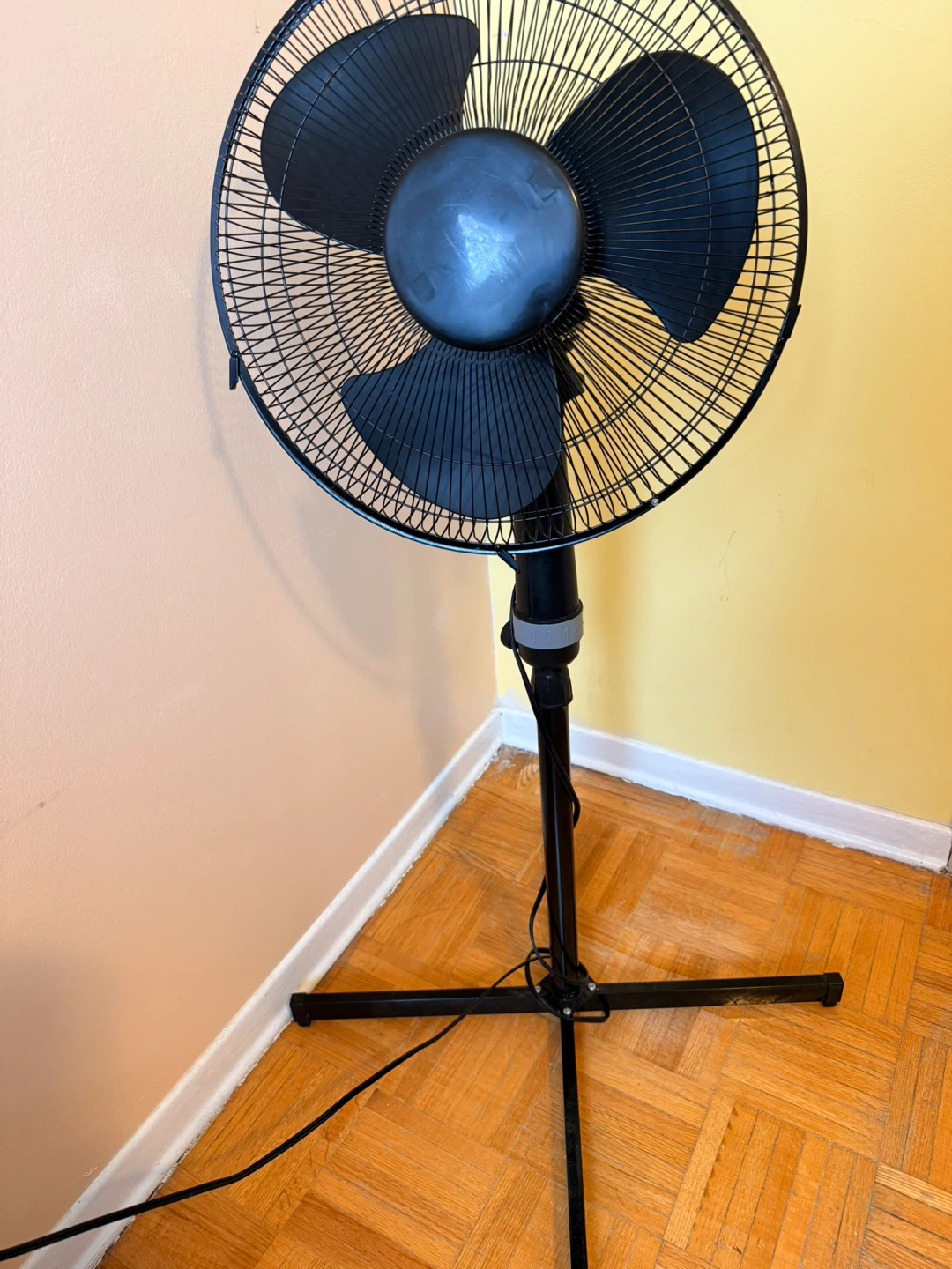 Black Stand Fan