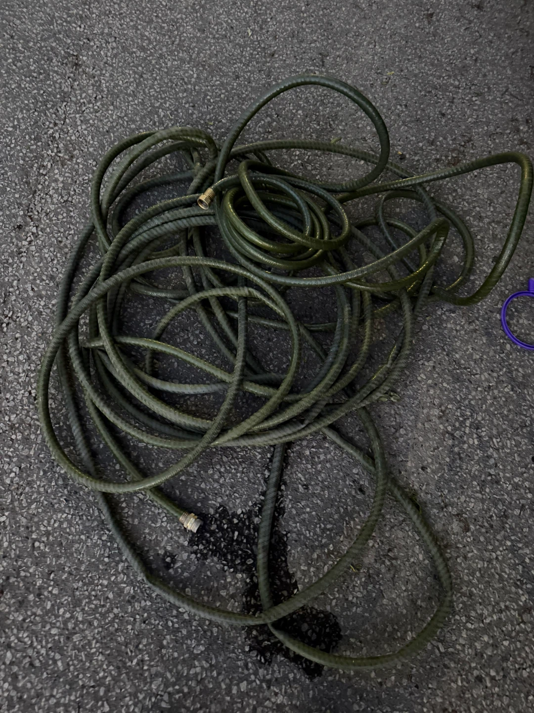 Green Garden Hose- long