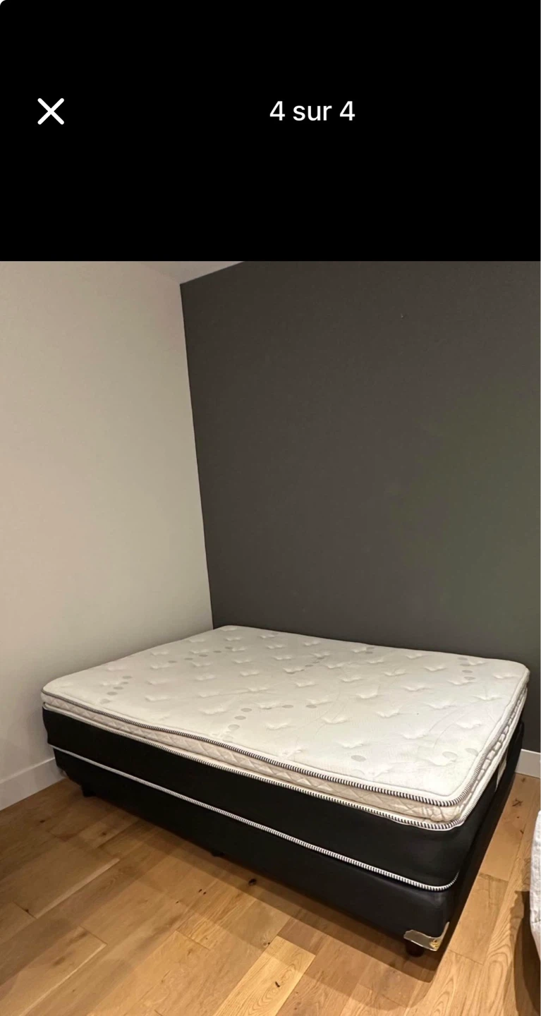 White Sealy Mattress with Box Spring