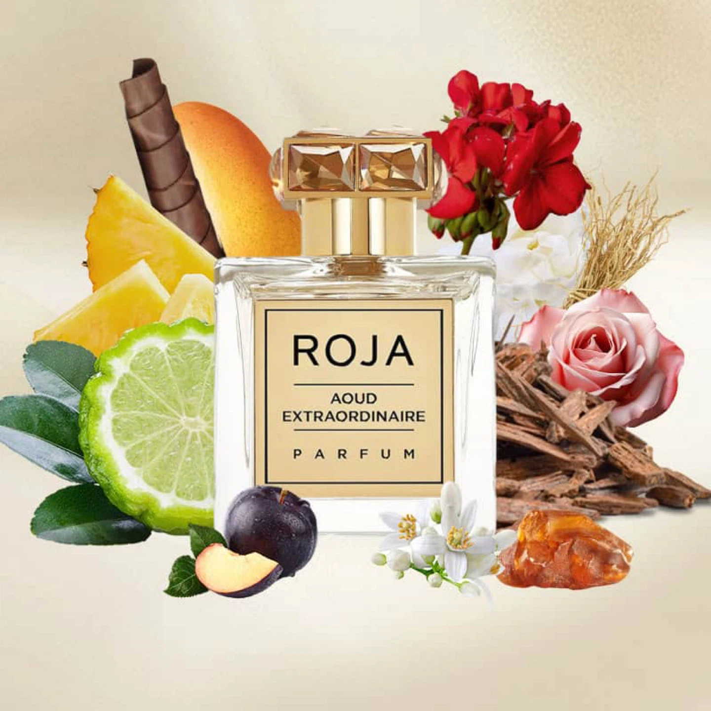 Roja - Aoud Extraordinaire Parfum 50 ml - photo 3