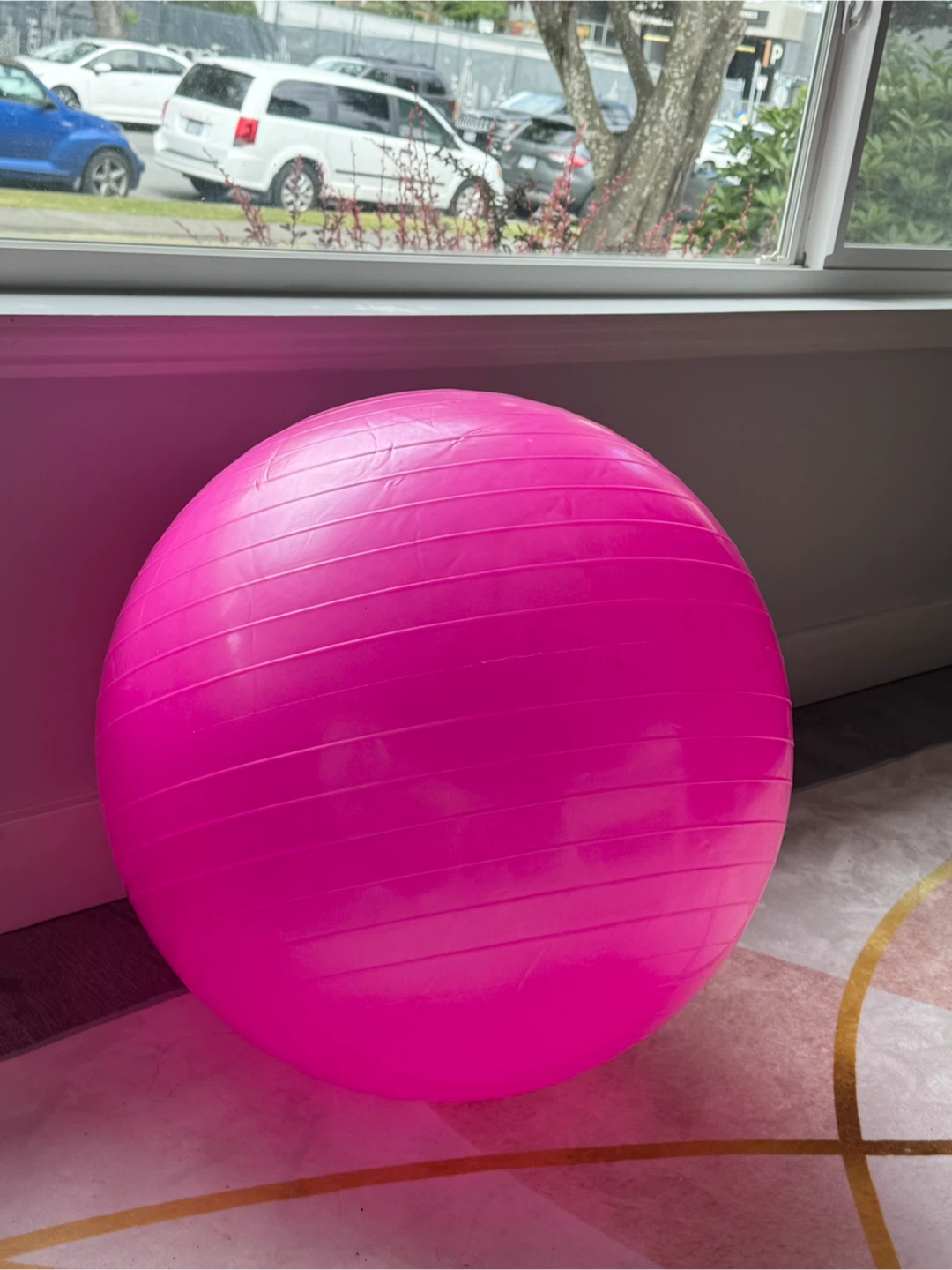 Pink Exercise Ball with pump