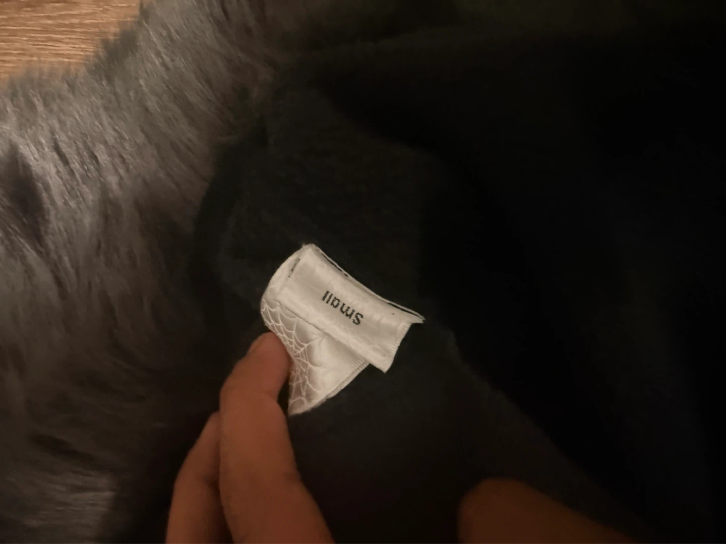 Spider Worldwide Hoodie Black Small - photo 3