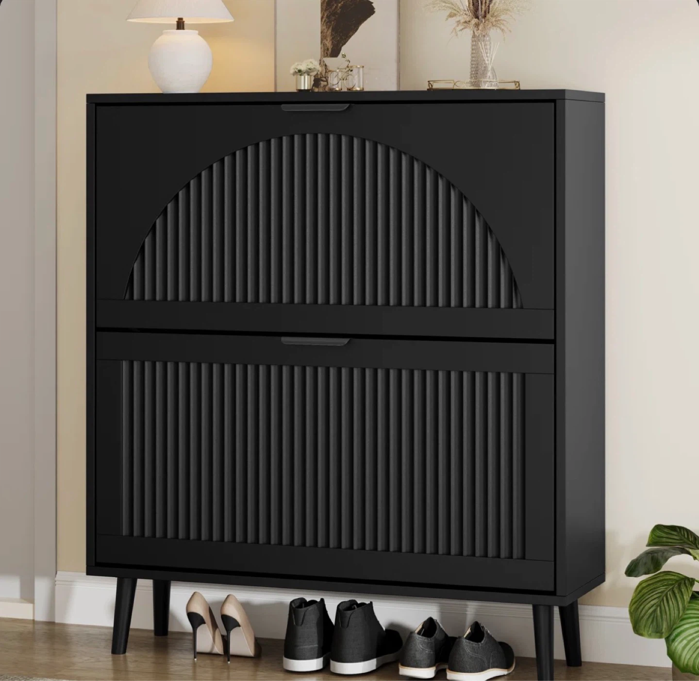 Shoe Cabinet with 2 Doors