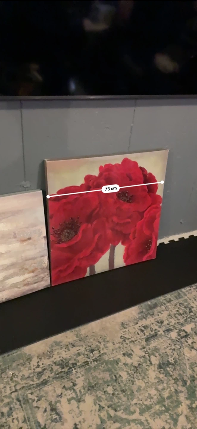 Canvas Wall Art Set - Red Poppies and Abstract Landscape - photo 3