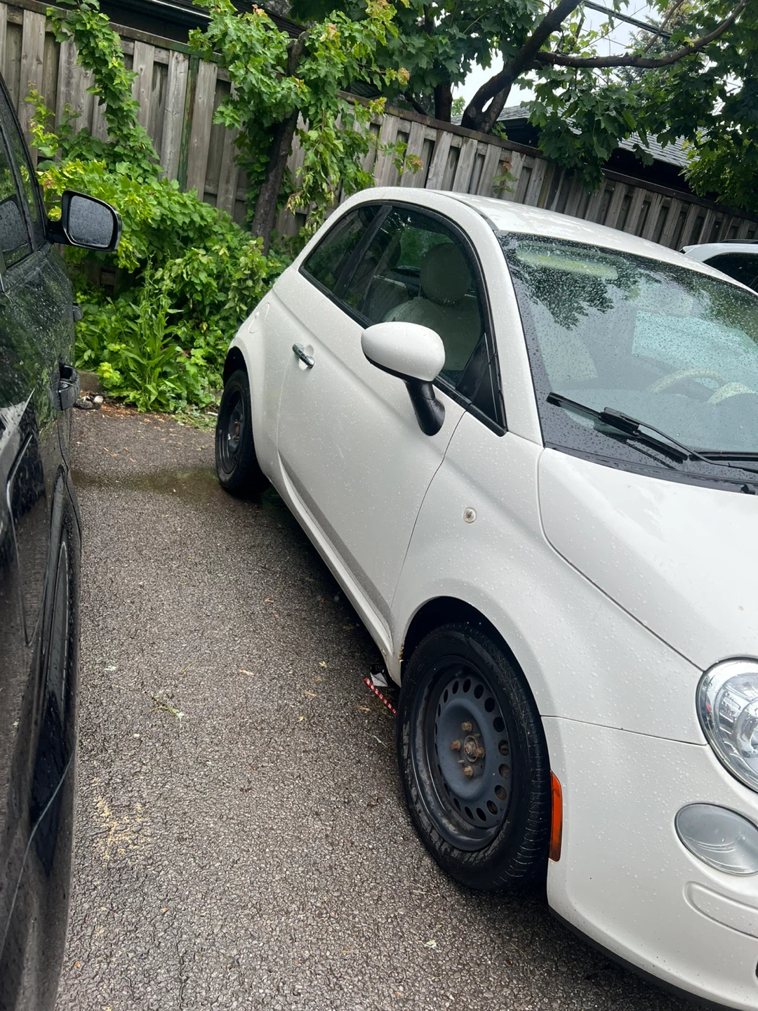 White Fiat 500 - photo 5