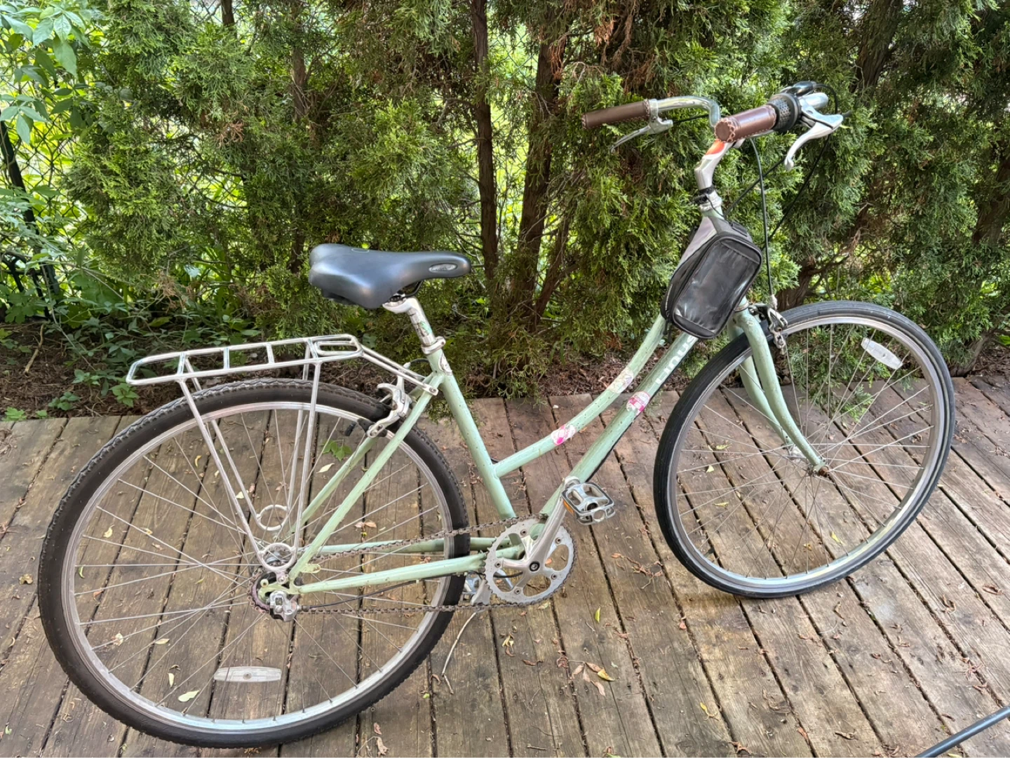 Linus Dutchi- Light Green Cruiser Bicycle