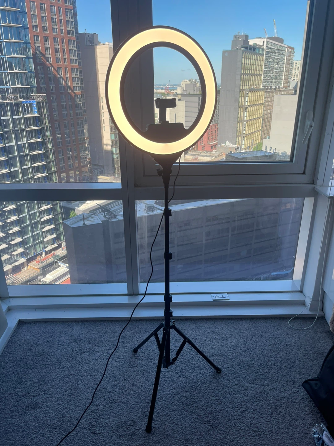 Lume cube ring light pro