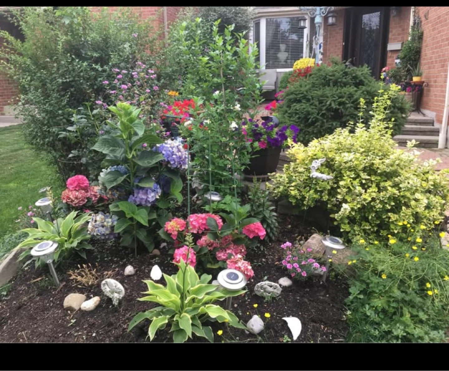 Legal basement apartment for rent