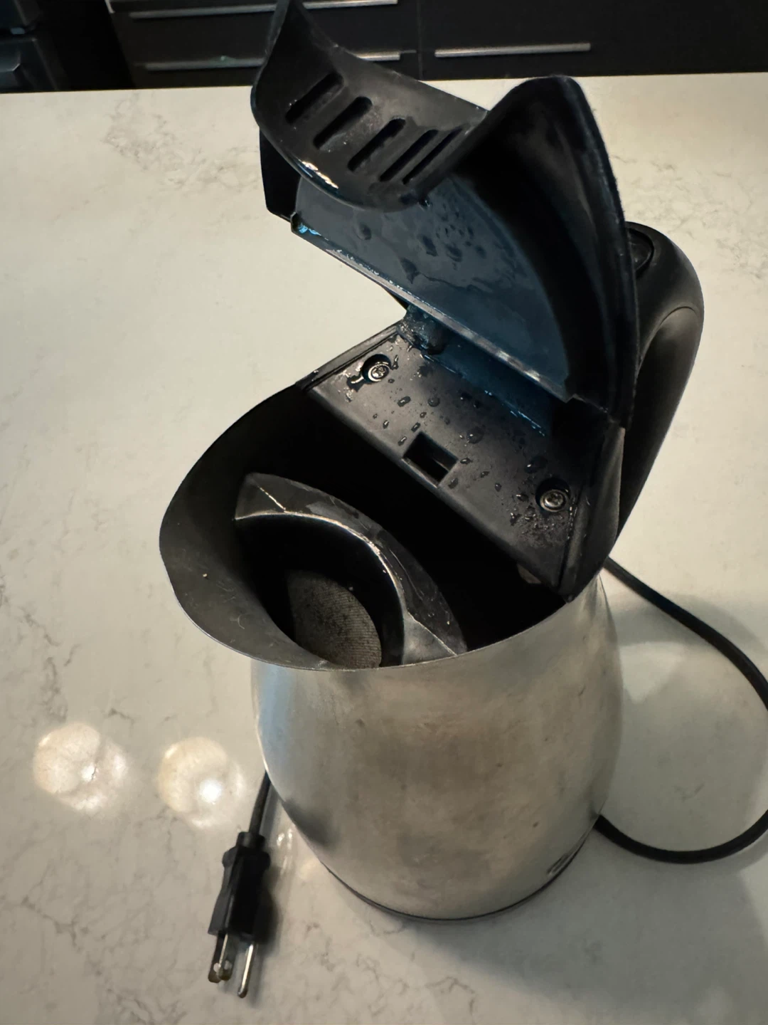Oster Stainless Steel Electric Kettle - photo 3