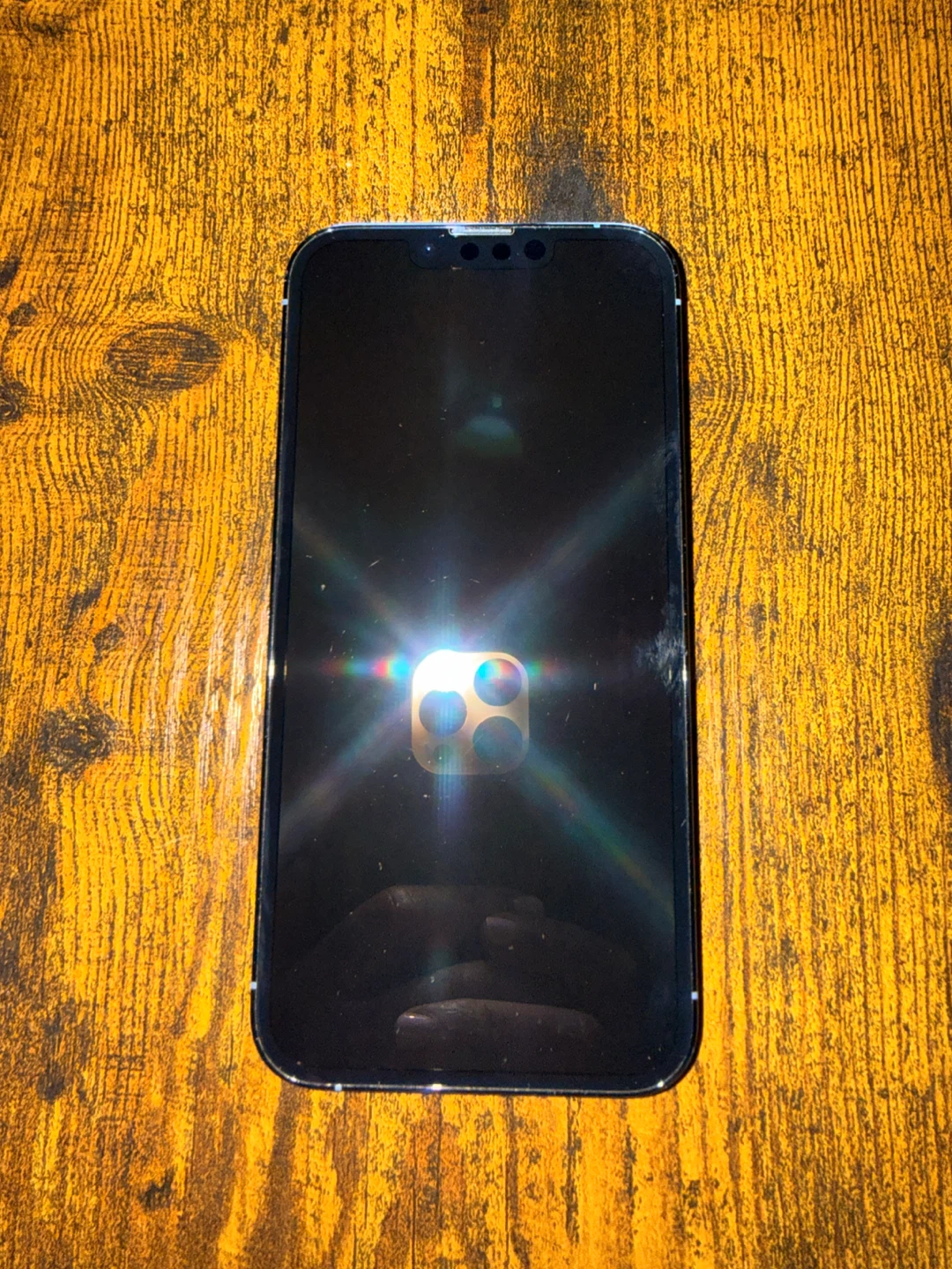 Apple iPhone 13 Pro 256 GB Sierra Blue - Unlocked - photo 3