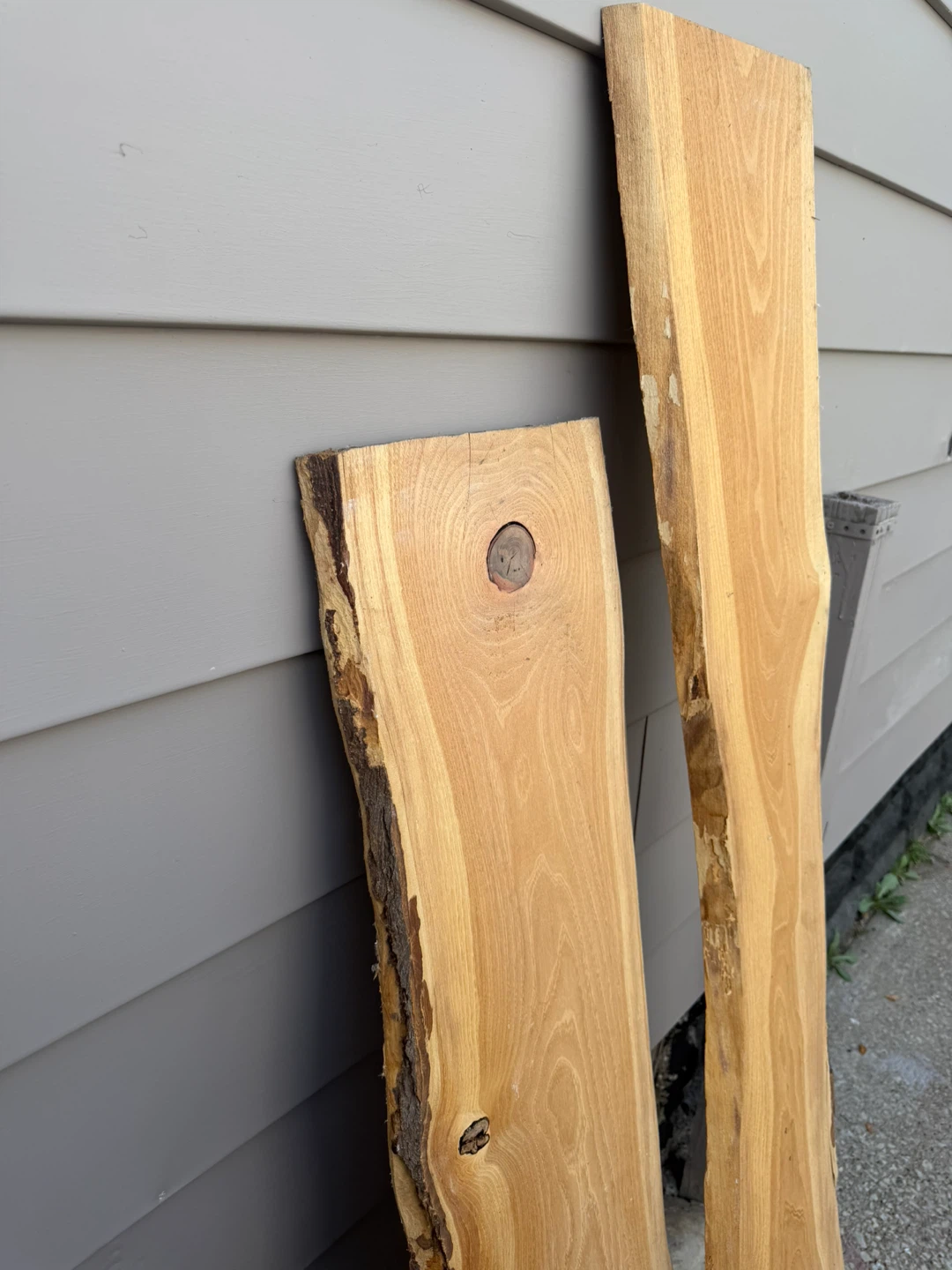 Live Edge Wood Slabs- both for 30$