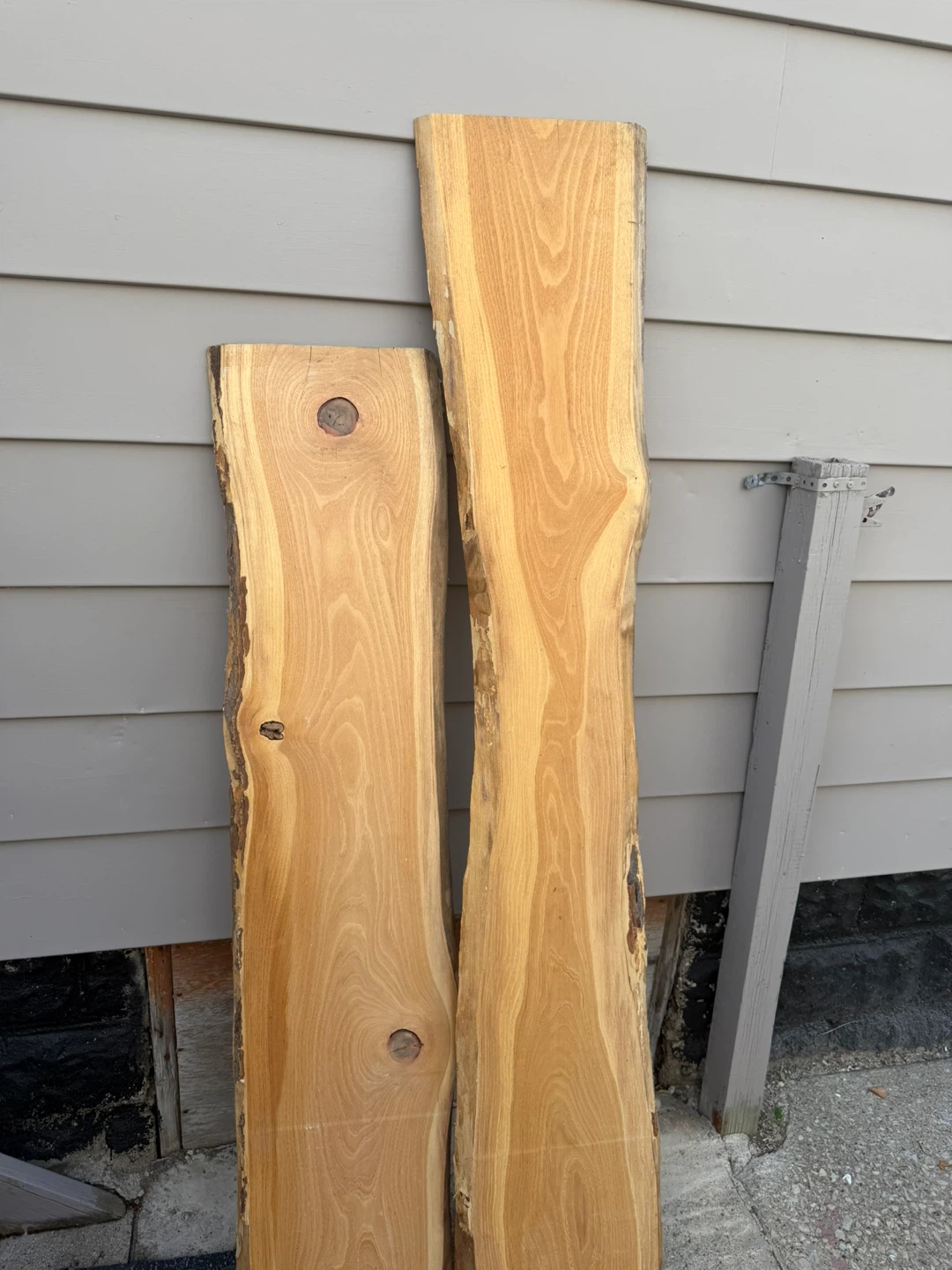 Live Edge Wood Slabs- both for 30$ - photo 5