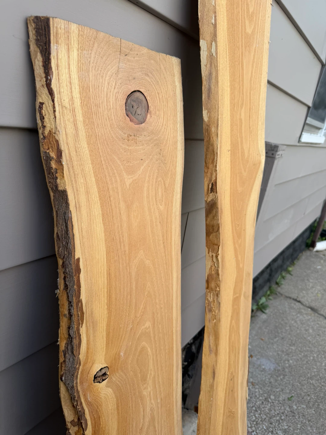 Live Edge Wood Slabs- both for 30$ - photo 2