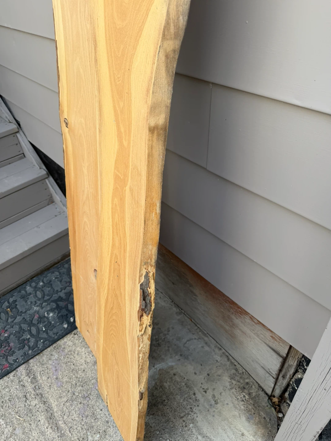 Live Edge Wood Slabs- both for 30$ - photo 3