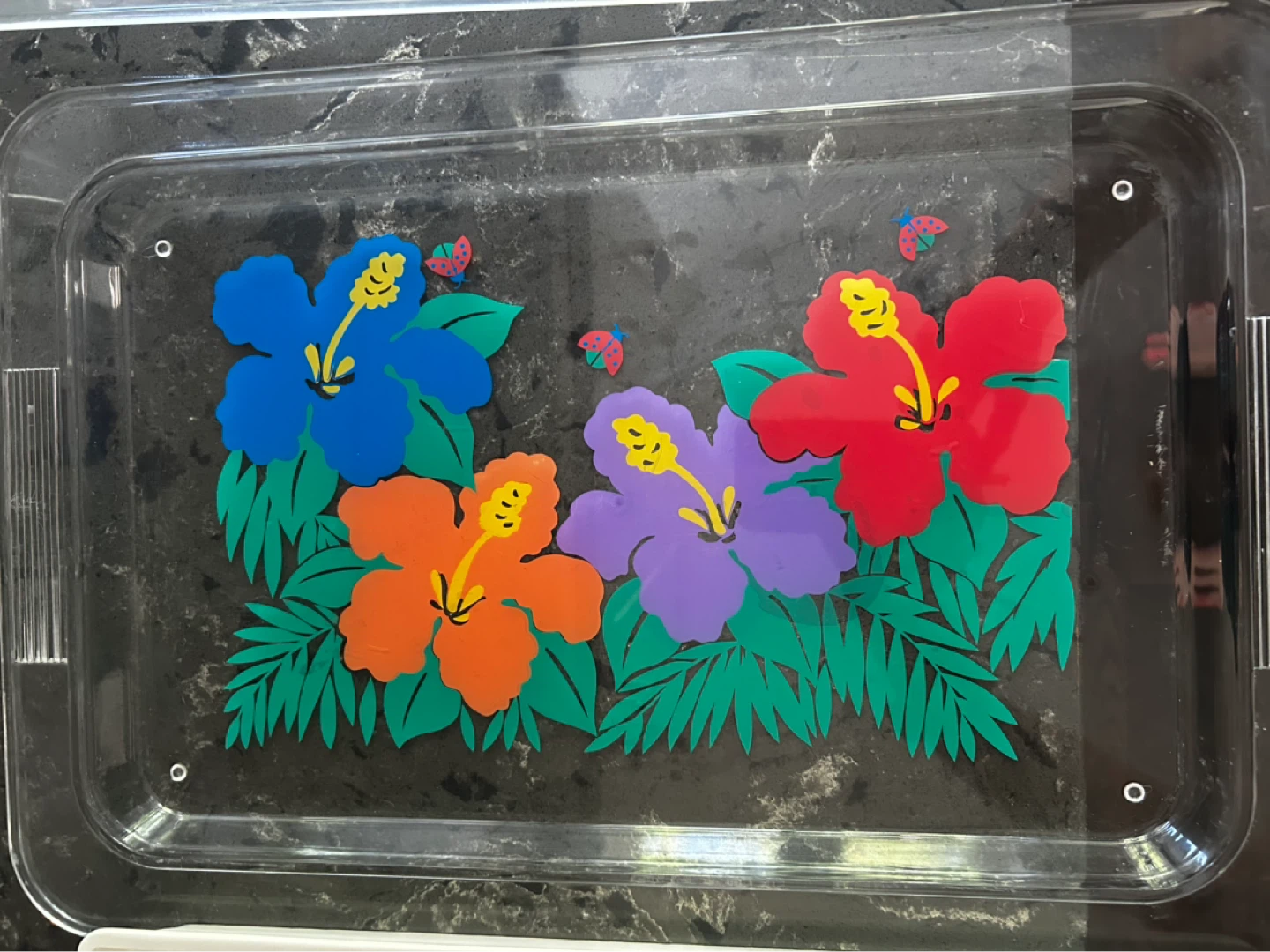 Clear Plastic Tray with Hibiscus Flowers and Ladybugs