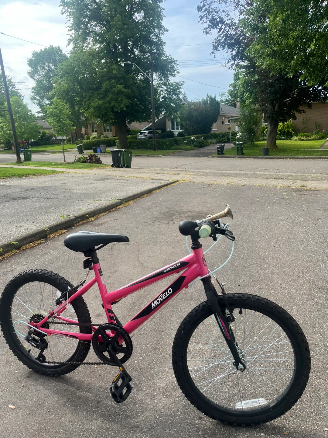 Movelo Pink Mountain Bike - photo 3