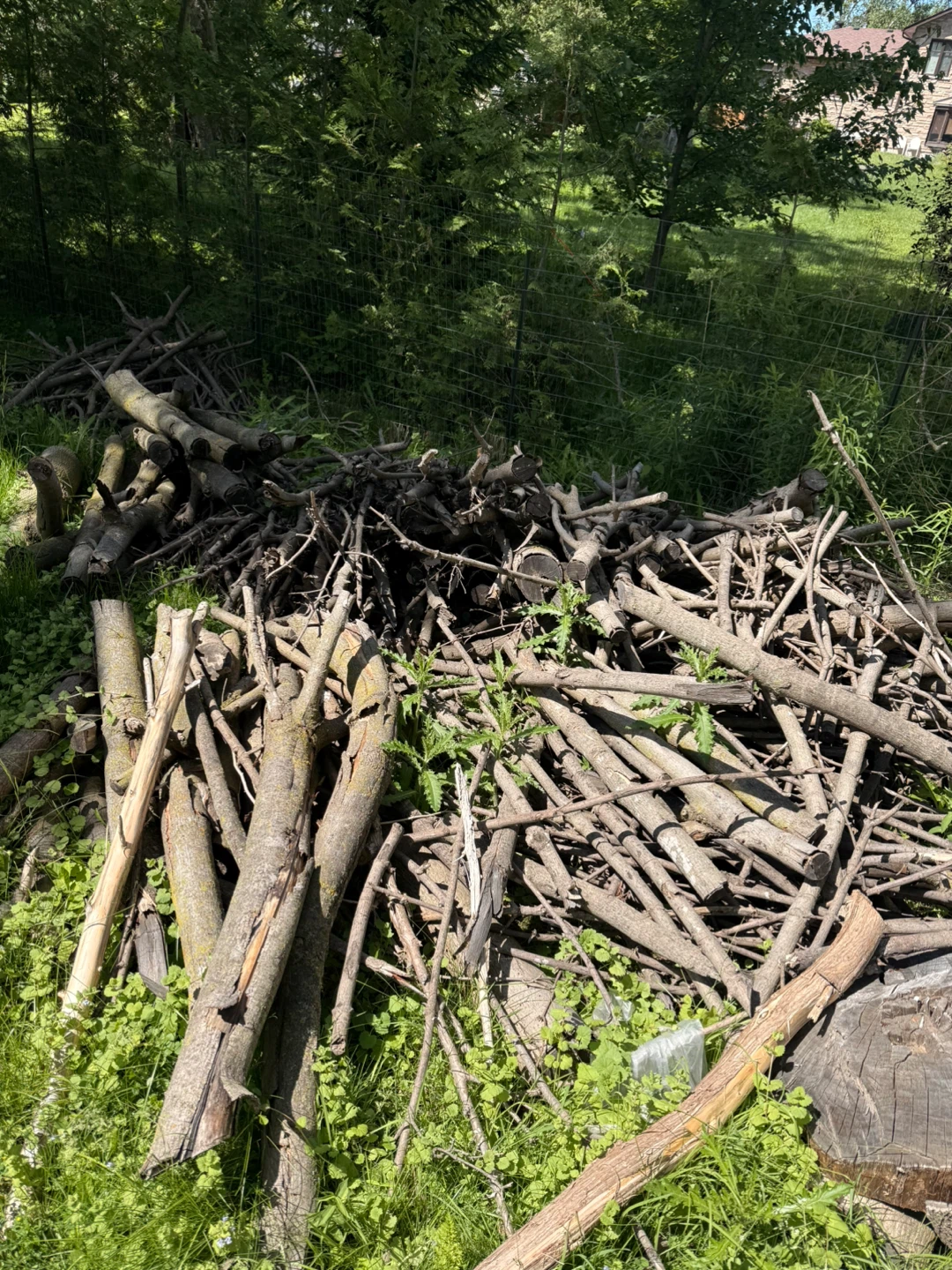 Free firewood and kindling