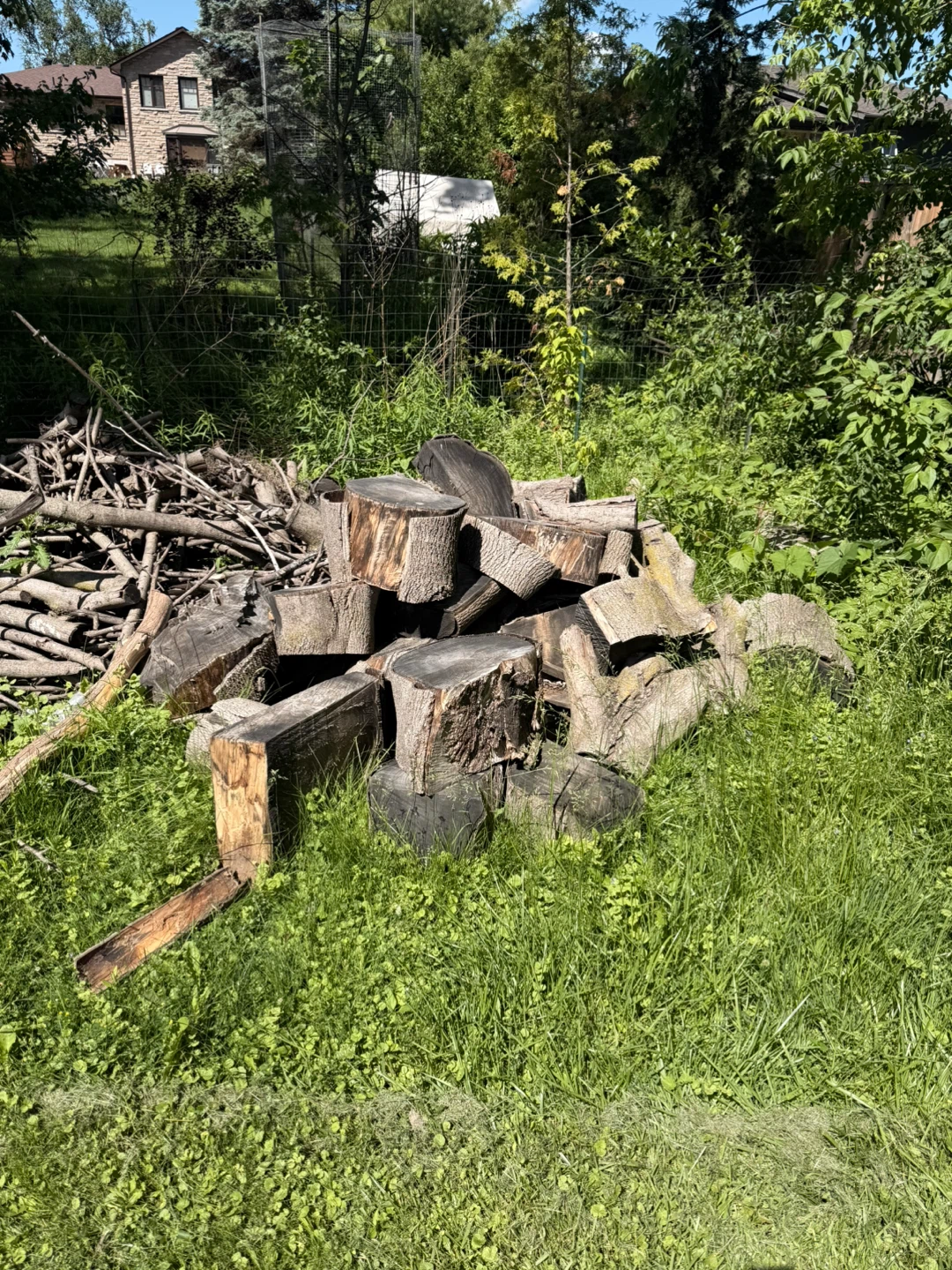Free firewood and kindling - photo 2