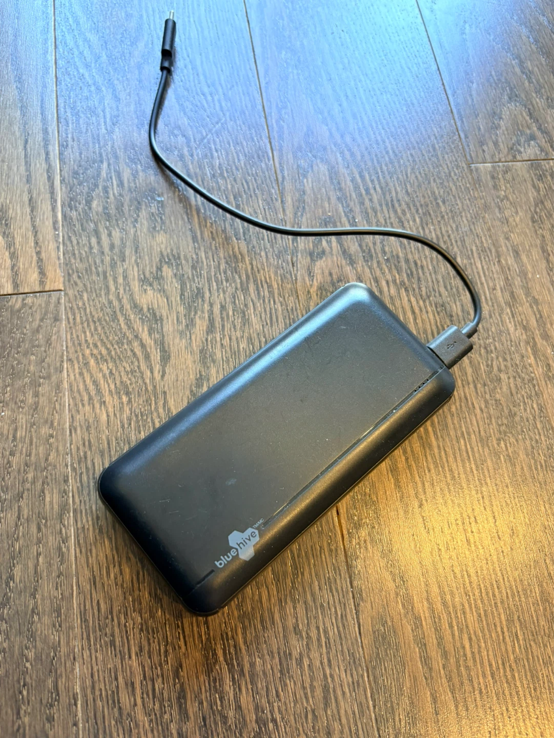 Blue Hive 20000 mAh Power Bank