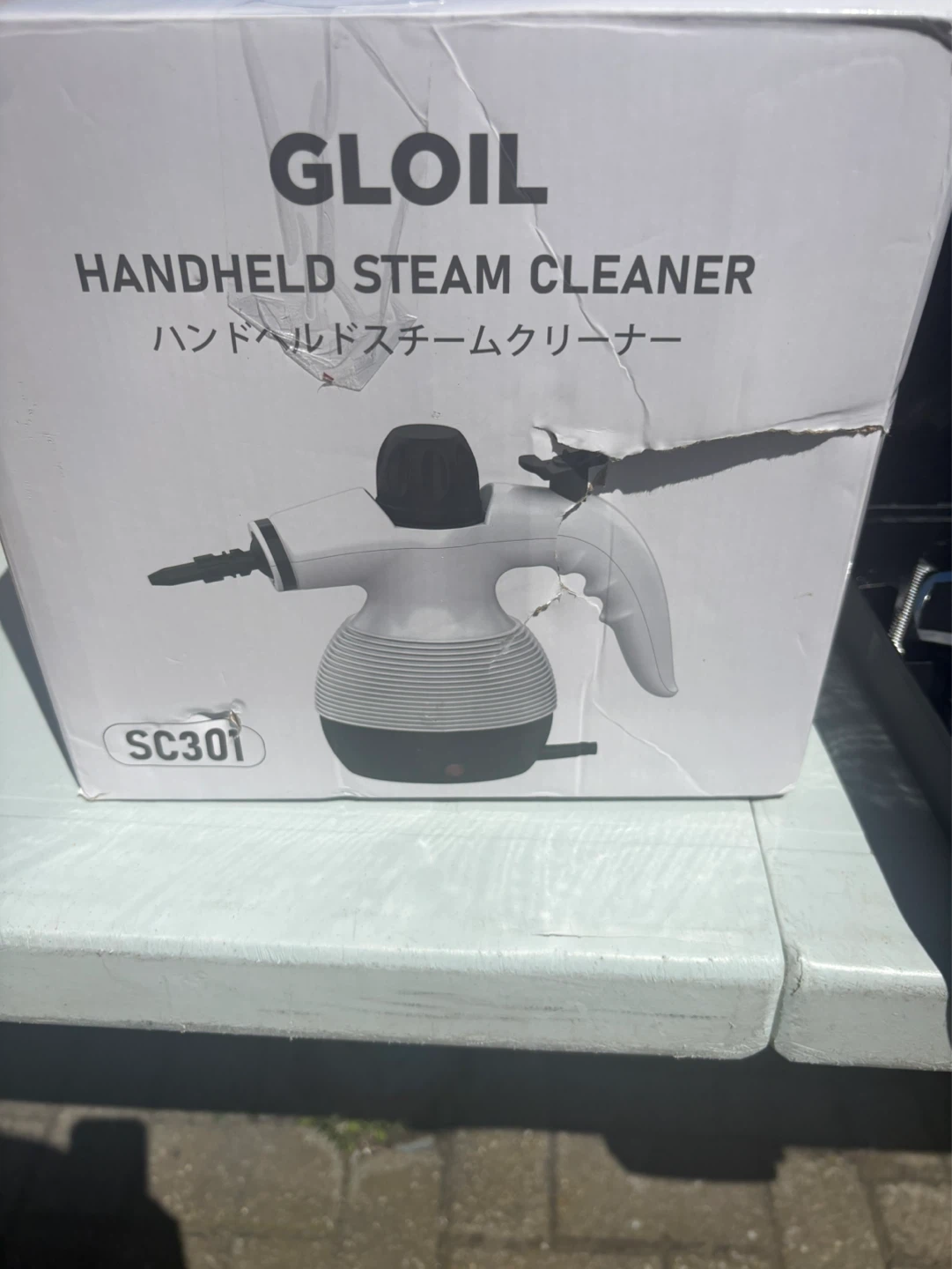GLOIL Handheld Steam Cleaner SC301