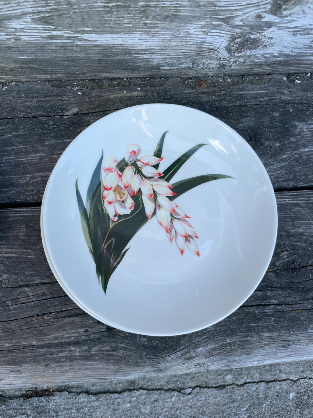 Santa Anita Ware Shell Ginger Plate - photo 3