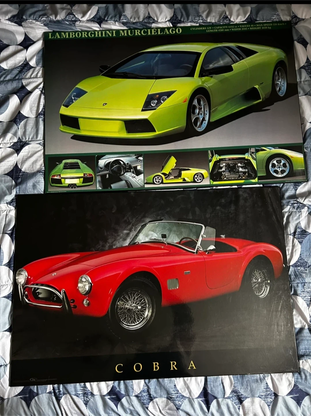 Lamborghini Murcielago & Cobra Car Pictures