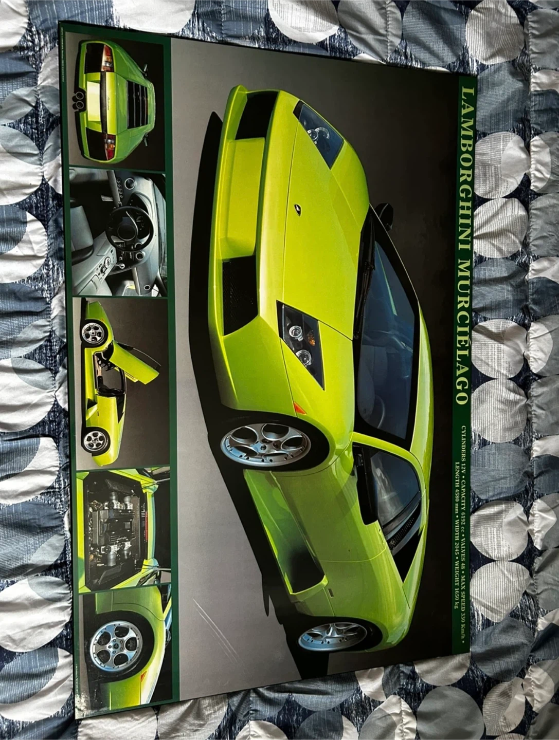 Lamborghini Murcielago & Cobra Car Pictures - photo 3