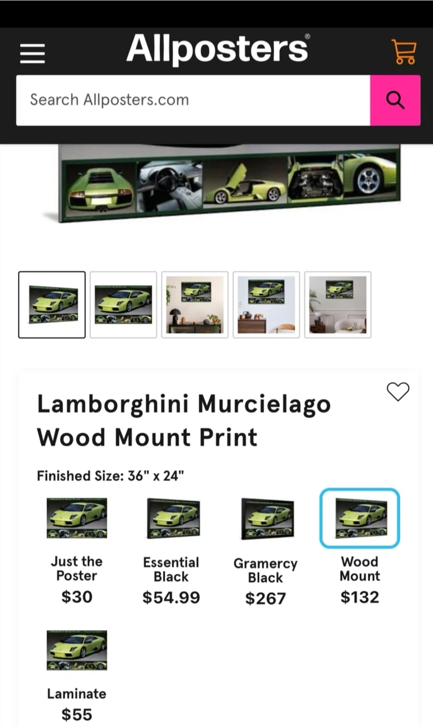 Lamborghini Murcielago & Cobra Car Pictures - photo 5