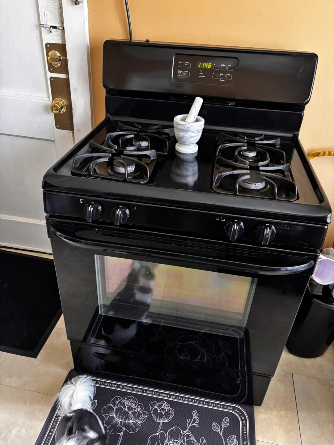 Black Gas Range Oven
