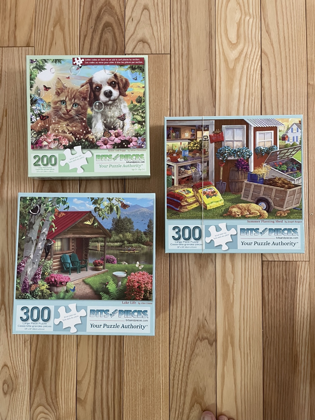 Dazzle Gallery - 6 boxes 100/200 /300 Pieces - photo 2