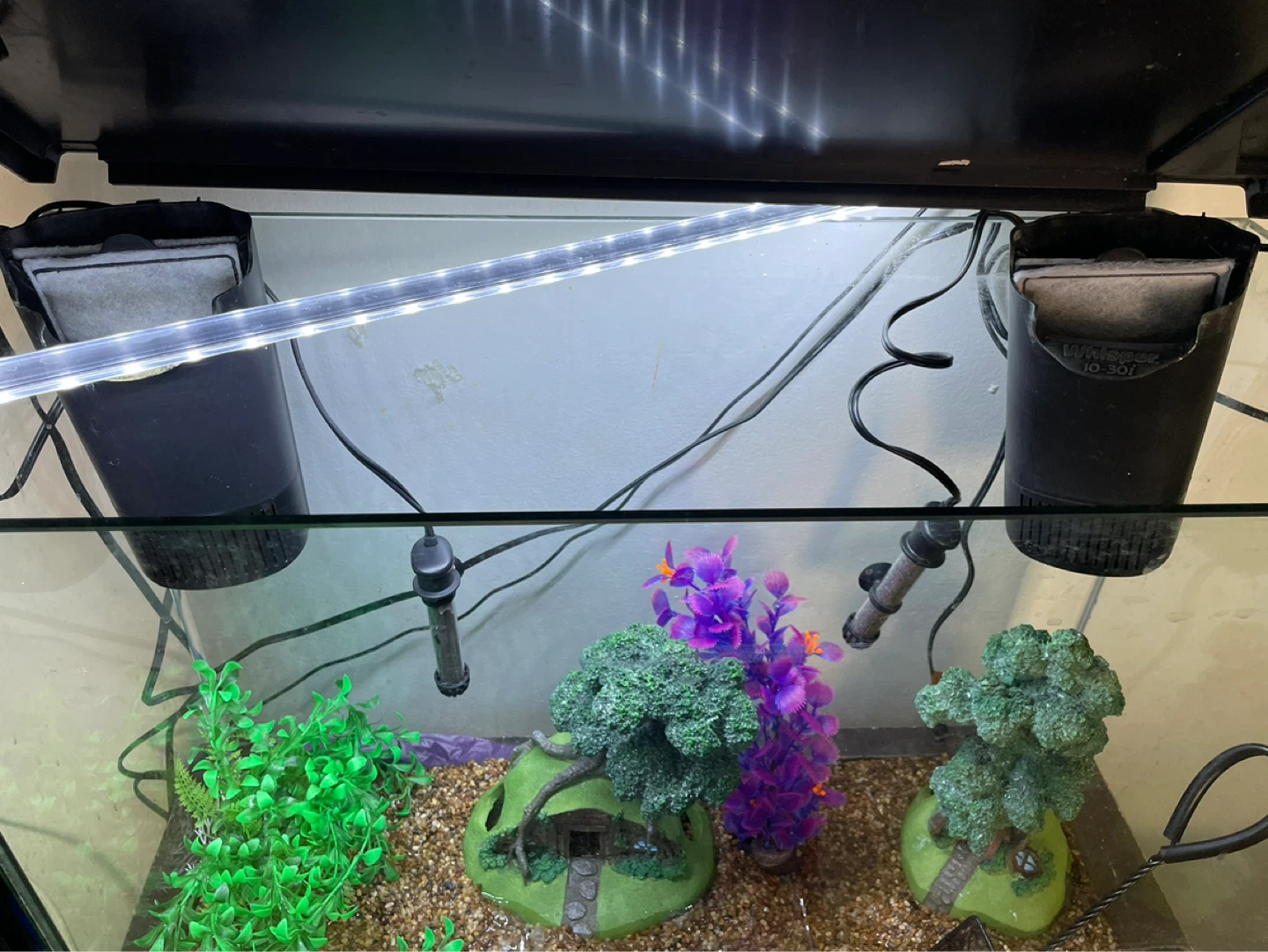 27 Gallon Fish Tank & Entire Setup - photo 2