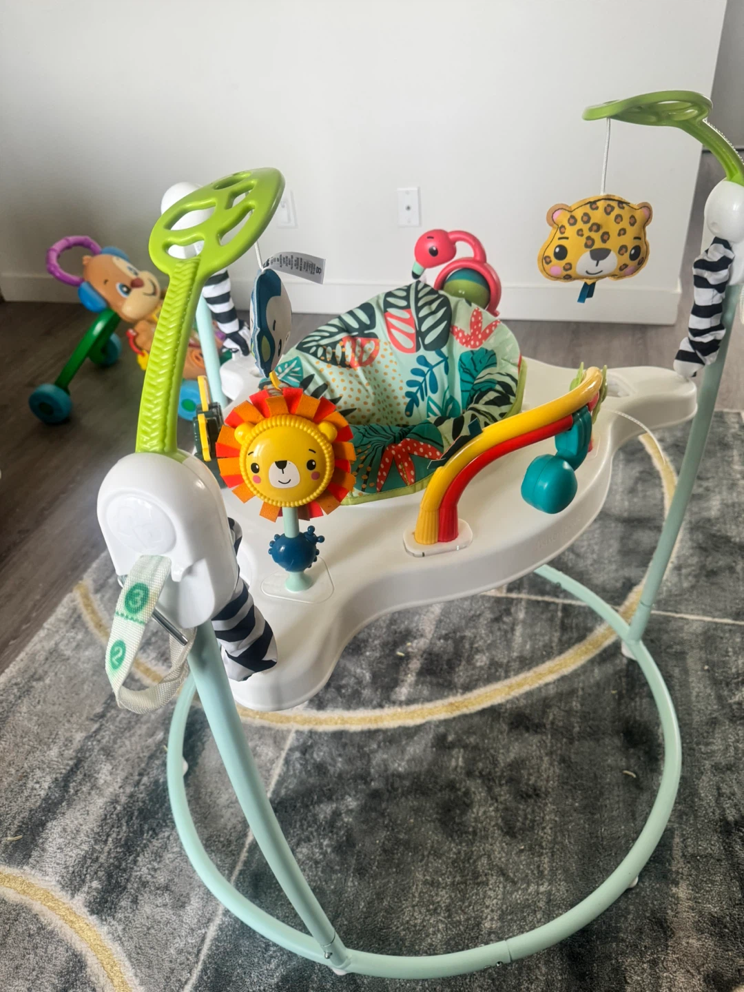 Fisher-Price Jumperoo - photo 3