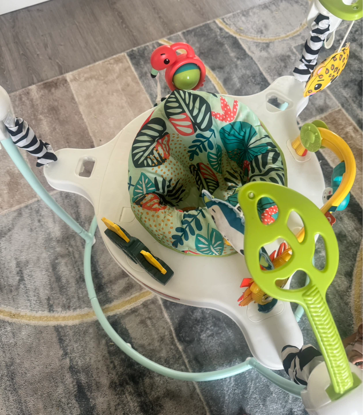 Fisher-Price Jumperoo
